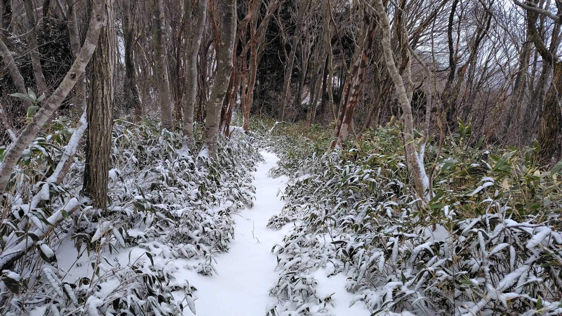 西方ヶ岳へ。