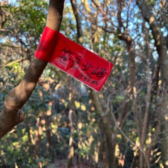 笹岳北峰。縦走ルート上にあるが行きは気づかなかった。ちなみに笹岳南峰というグレーピークもあったがそちらは登りづらかったのでピークだけとって撤退した