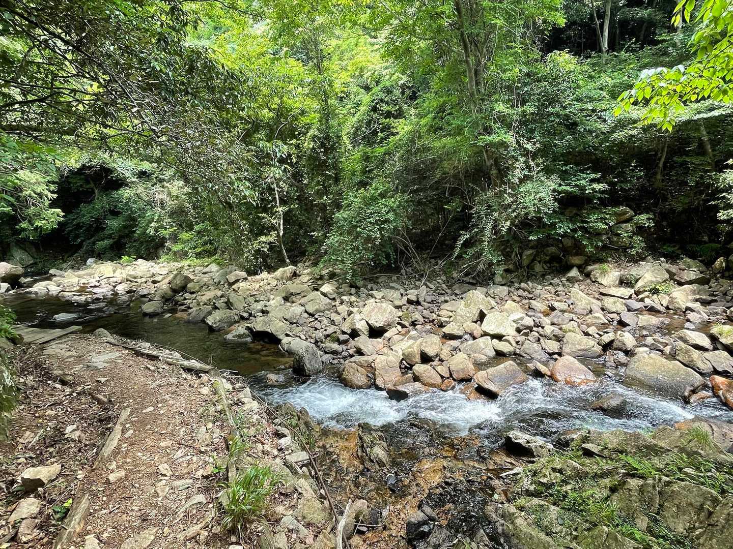 沢沿いは涼しい✨