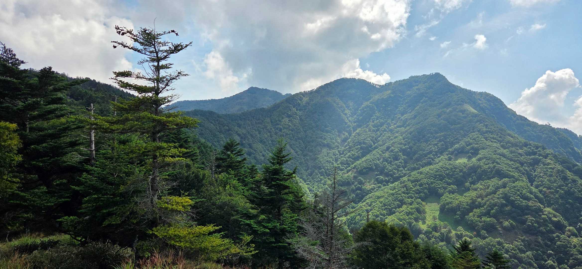 落合峠-矢筈山 往復コースの写真