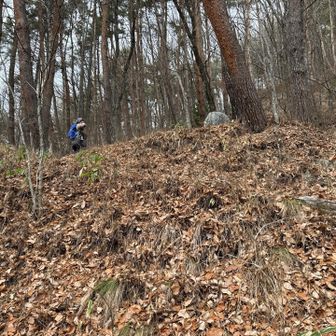 橋を渡ると直ぐに急登が始まりました