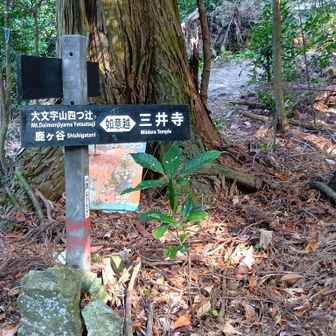 如意越道迄来ました..
雨社大神近く..