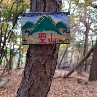 聖山⛰️ 230m