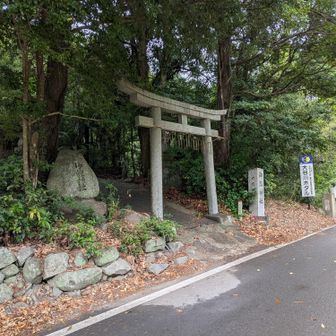 今日もここから　お邪魔します