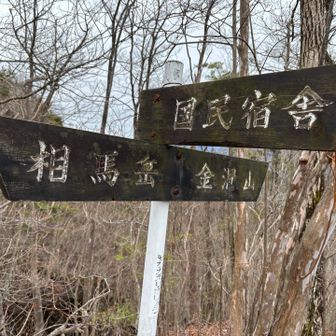 ここから裏妙義方面に行けるのね