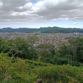 織姫公園