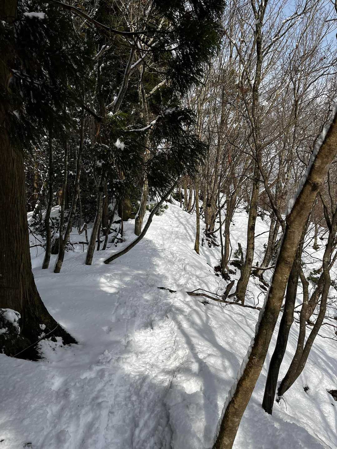 お日様も出てきていい感じ✨キラキラしてて綺麗だー！思わず走りたくなるんやけど、すぐにズボッとはまってそんな事はできず😂
