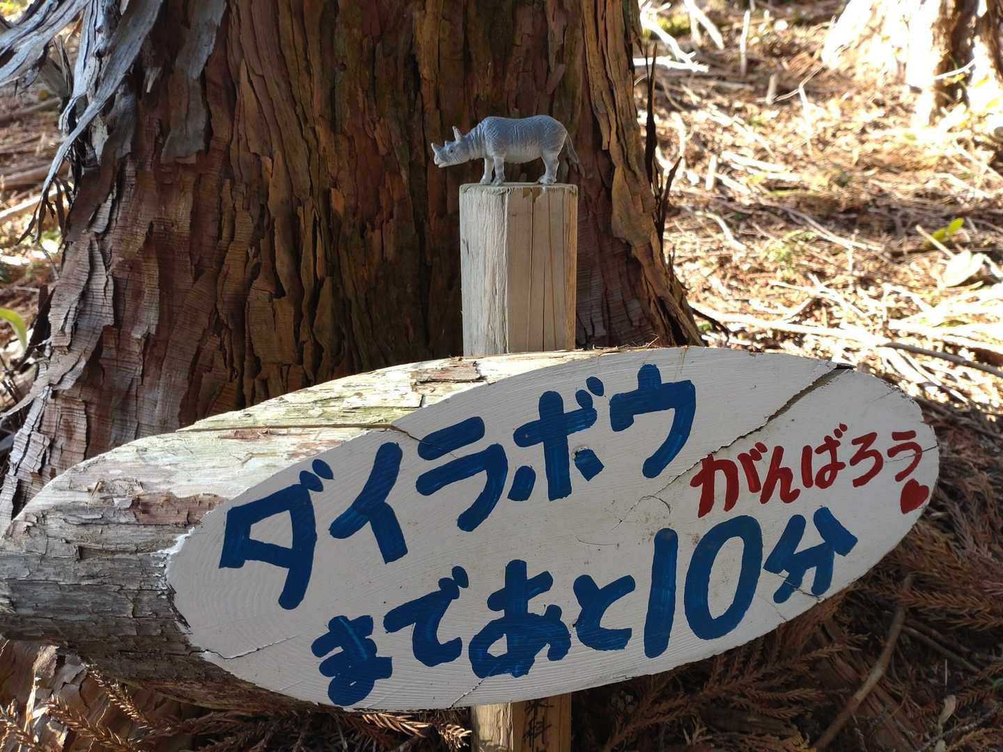 サイ🦏がいました