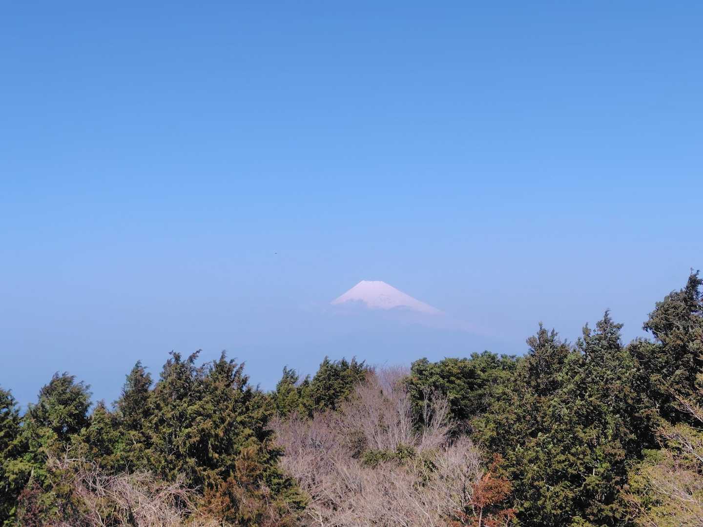 山頂からの富士山🗻
(ㆆ ㆆ ).｡oஇ
やはり霞んでる…