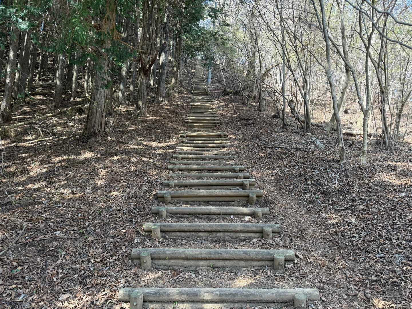 比企三山 周回コースの写真