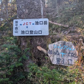 ここの上りがきつかった