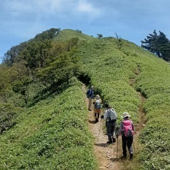 樹林帯を抜けると嘘のような青空
日除けの完全武装をして一ノ森へもうひと頑張り