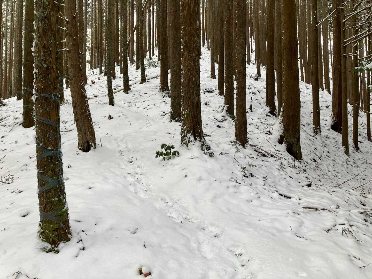 登り初めから積雪有り