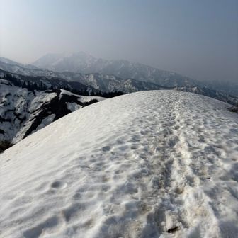 この辺りが山頂かな😇