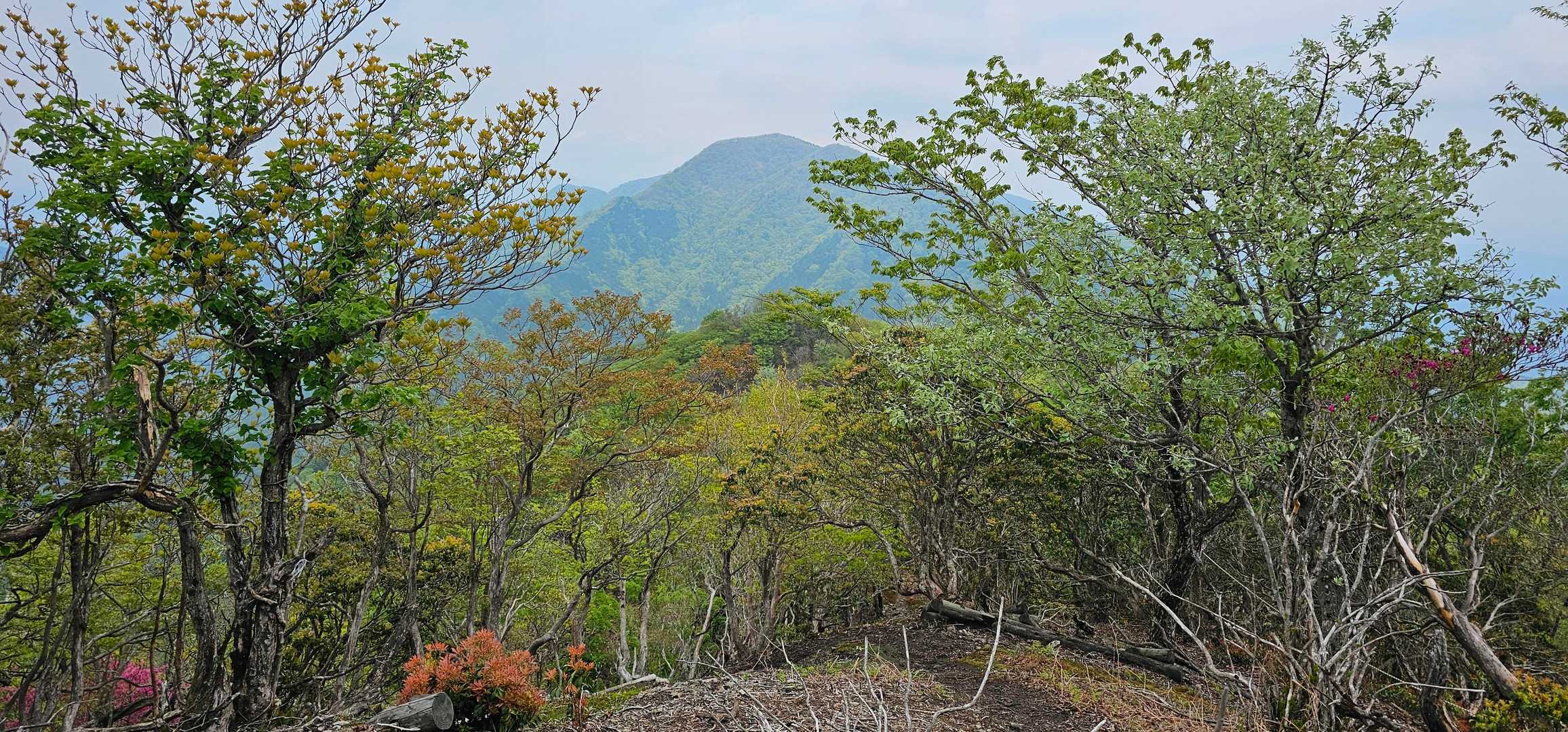 あちらは滝山⛰️