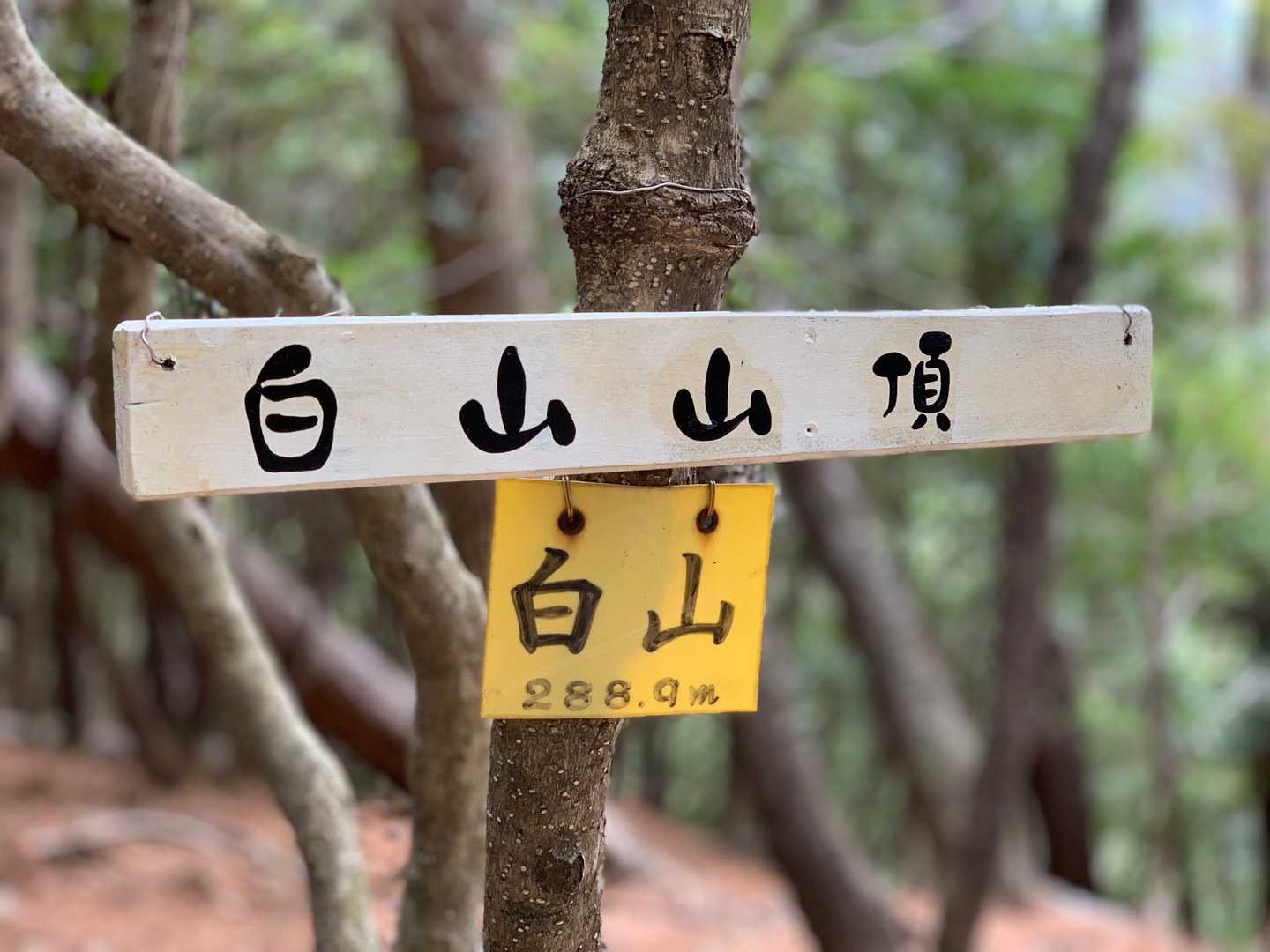 ここんとこ毎週来てるね