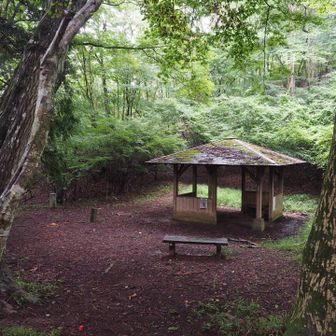 浅間峠は立派な東屋もあり、いい休憩スポット

さて、ここからは未踏の笹尾根、槇寄山・三頭山方面へと進みます