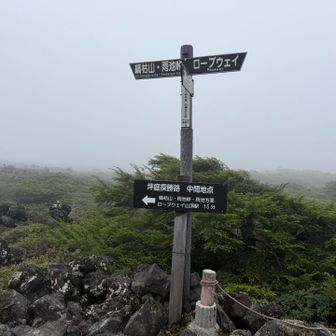 坪庭までおりてきた！風も冷たくなって雨が来そう…！