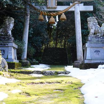 新年なので山頂の上社だけでなく、手速比咩神社の下社にもお詣り。
苔の参道って珍しくない？