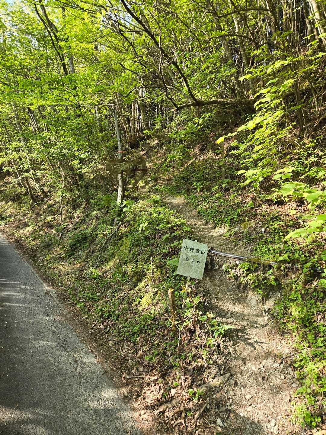 登山口