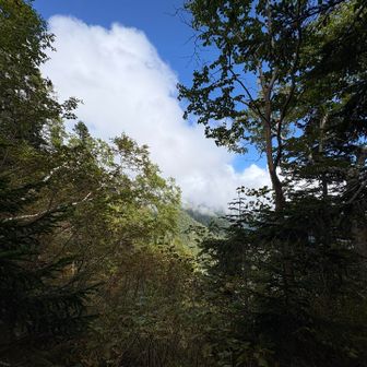 最後までずっと樹林帯だけど、ところどころこんな風に抜けてる。でもこの日はガスで常念見えず