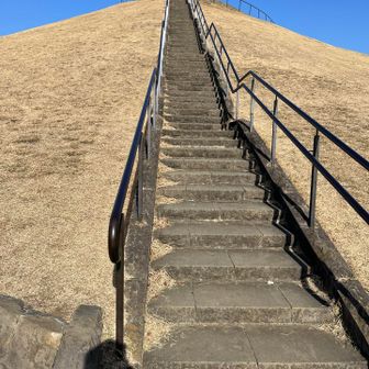 高度順応して…
登りましょー