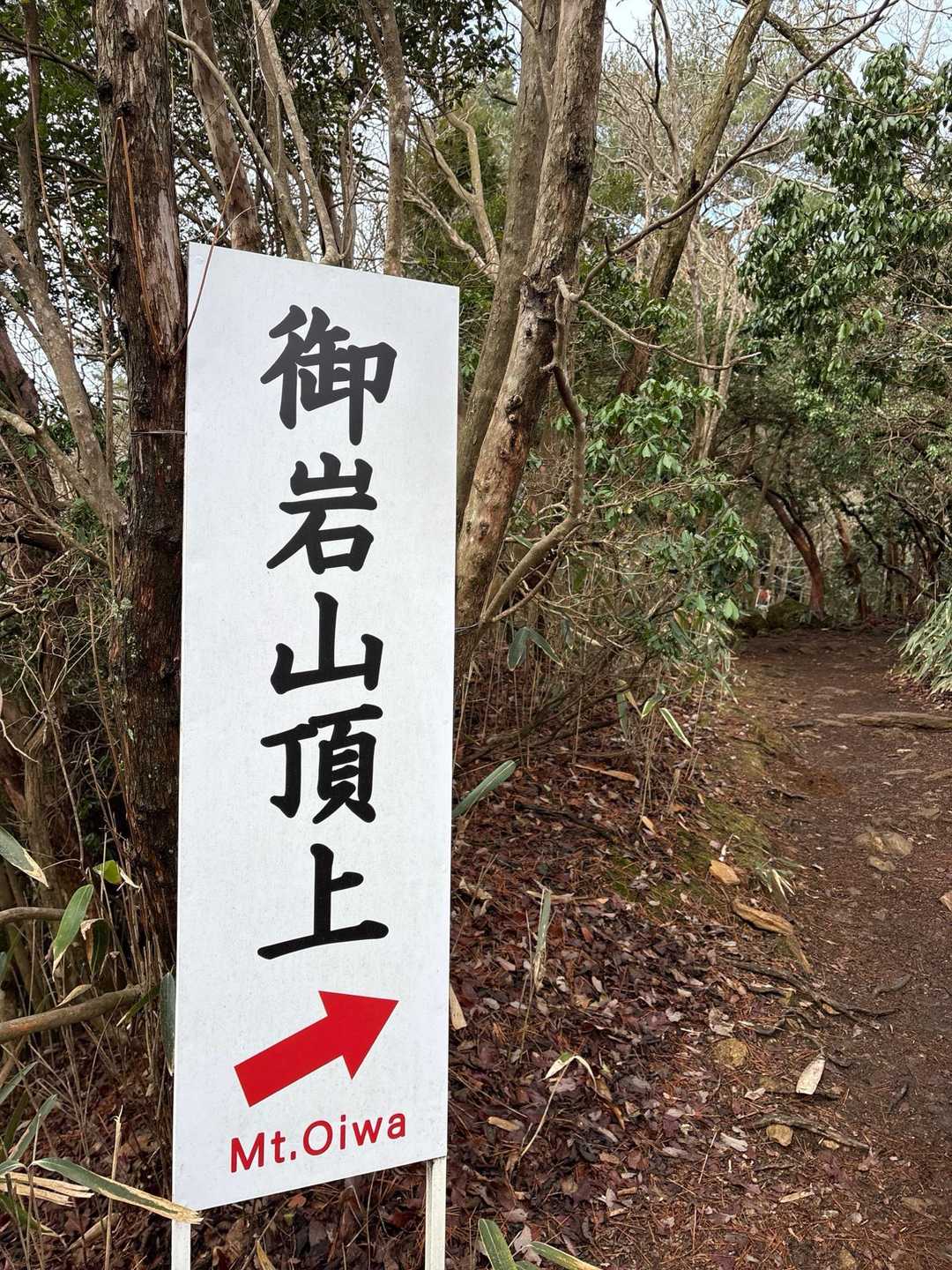 ちょっと不安になりながら登る↗️