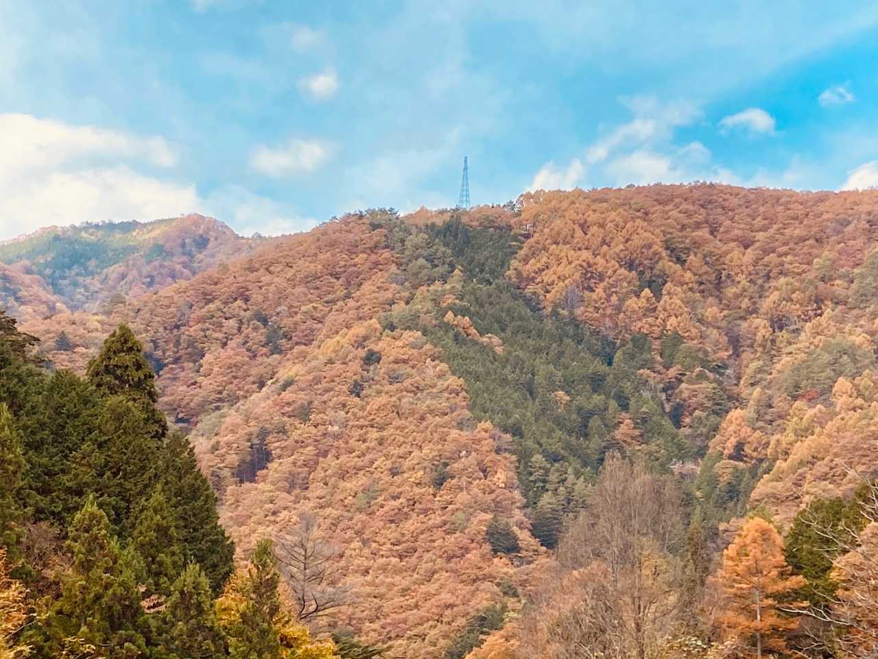 高鳥屋山-梨子野山-梨子野峠 縦走コースの写真