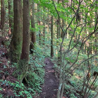 雷神社上宮の手前は急斜面を横にトラバースするような登山道