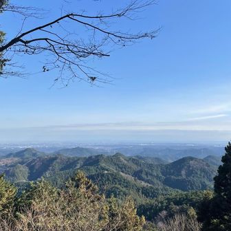 遠くまで見渡せる。新宿の高層ビル群は見えるが、スカイツリーは分からなかった。