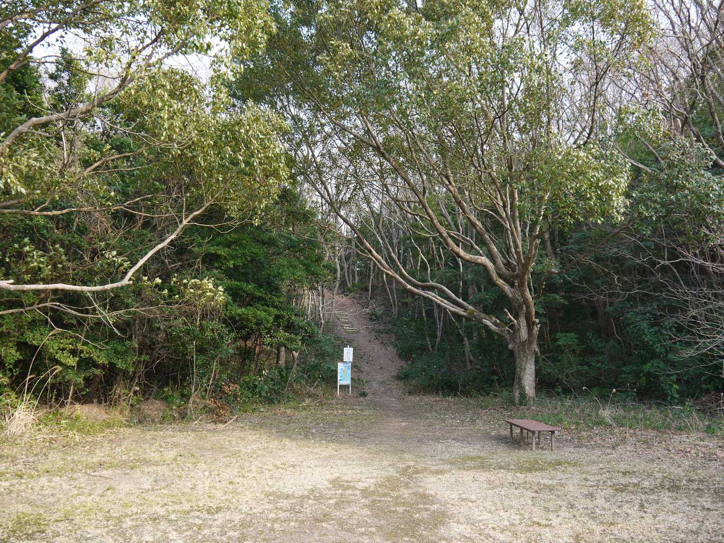 いつもの登山口。