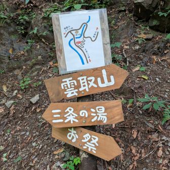 三条の湯北側の道は橋崩落してるらしく、雲取山にいくのは南の分岐（現在地）からがおすすめ。
