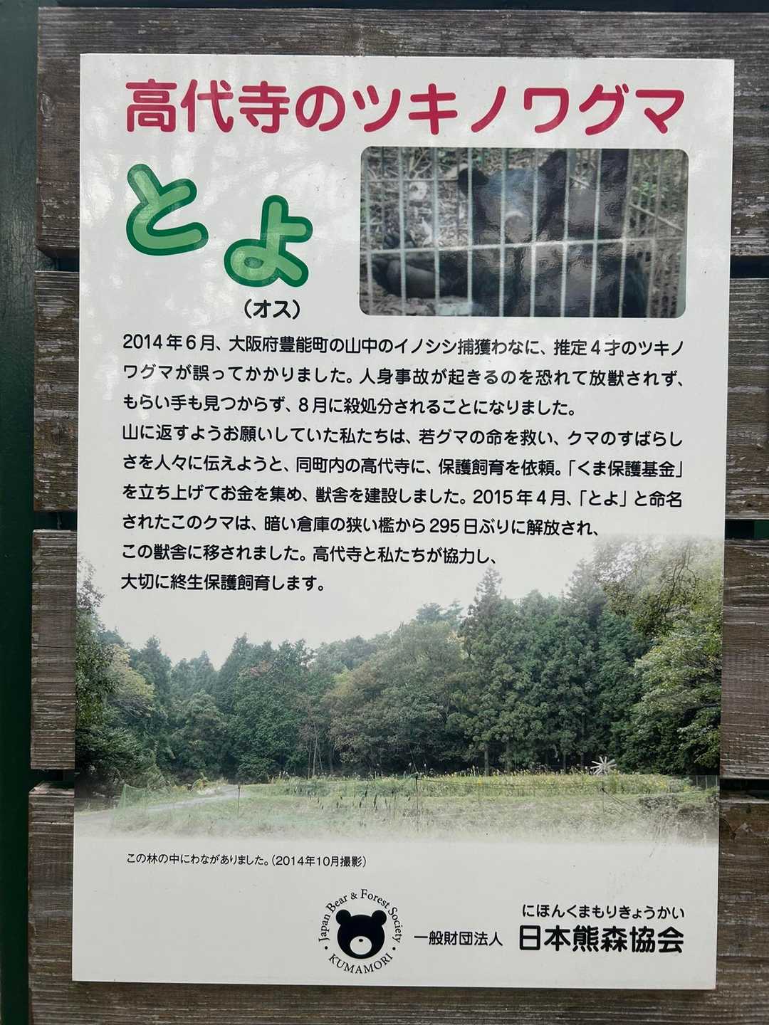 無益な殺生アカン。