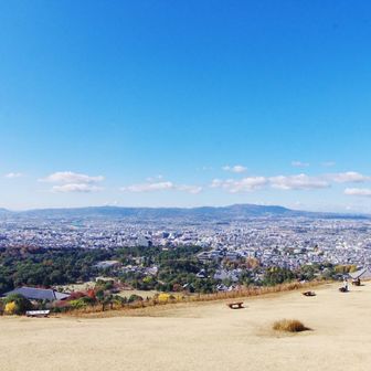 若草山一重目まで到着
妻はここまでで満足とのこと
 私はダッシュで山頂へ