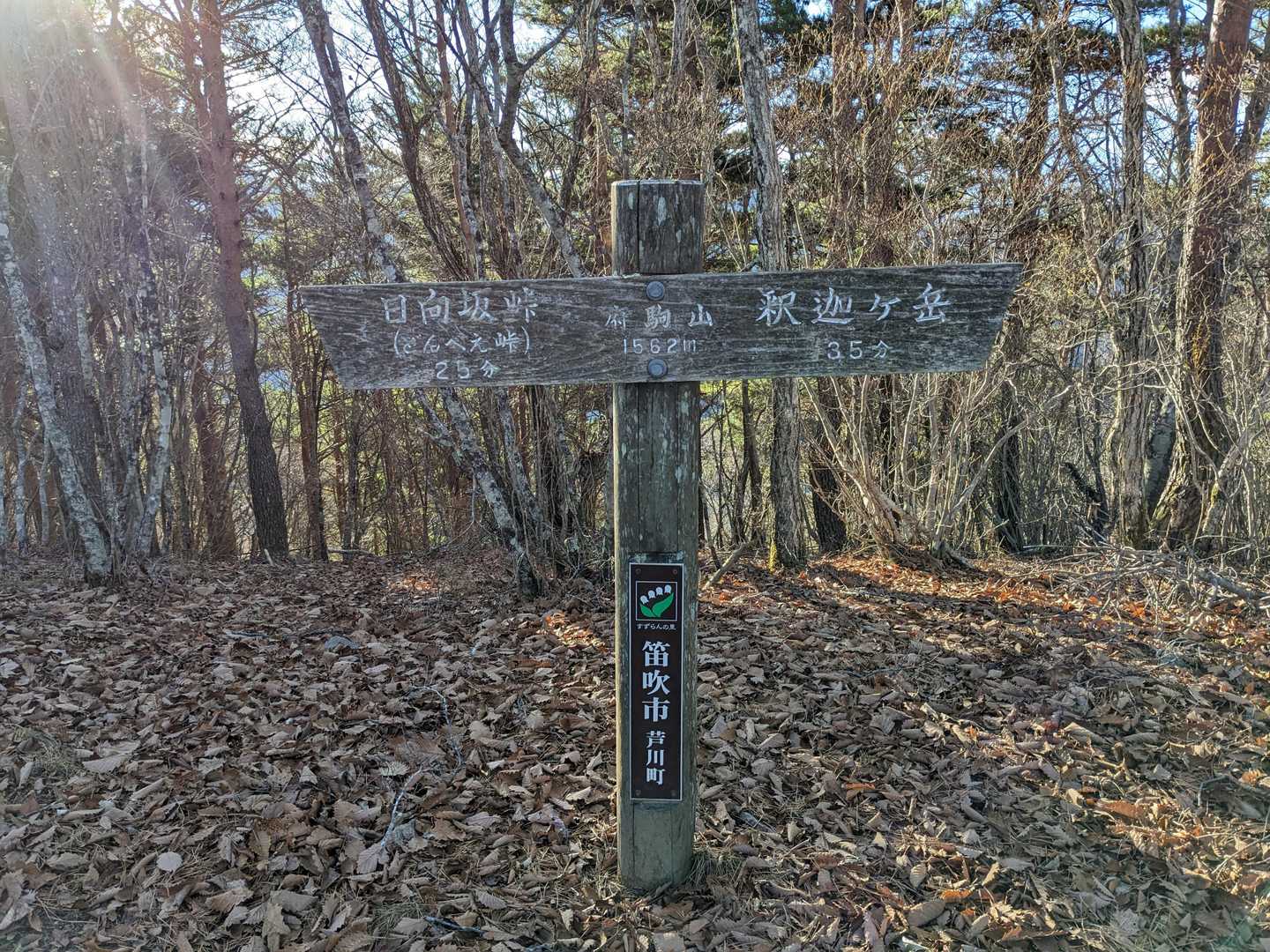 府駒山山頂