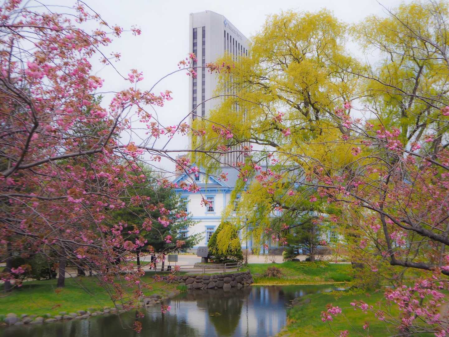 岡田山（北海道）の写真