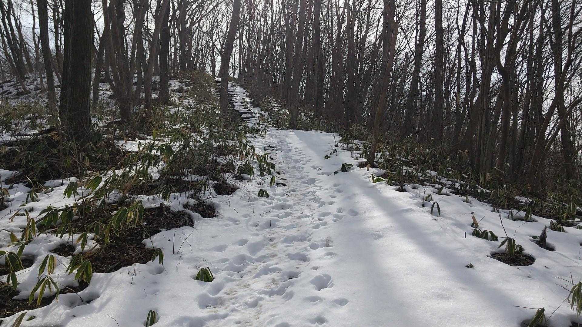 ここまで来たら 愛宕山まで行ってみます☺️皇鈴山から10分位で着きます
