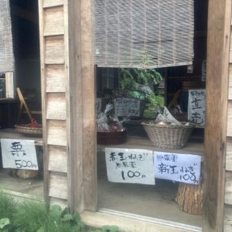 こちらも見送り ~