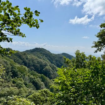 あれは鳥坂山でしようか