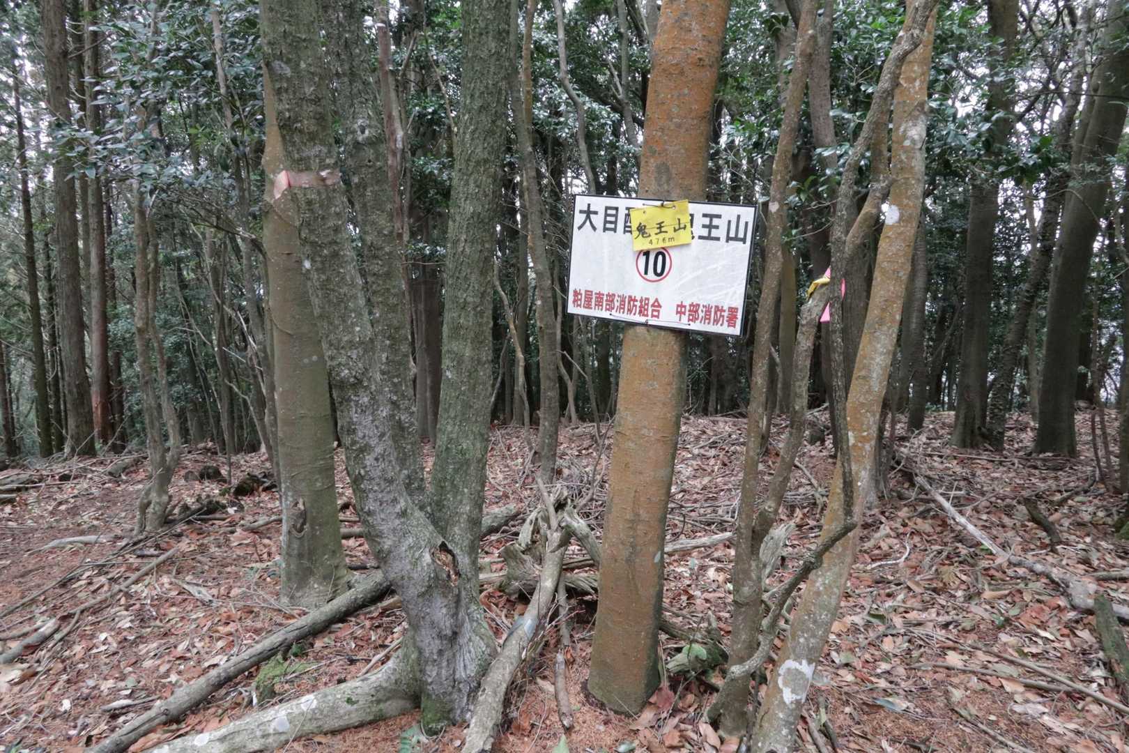 ３座目の鬼王山