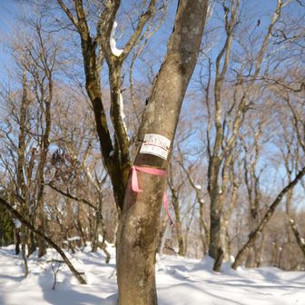 少し先に開けた場所があり、烏帽子や養老の眺望あり