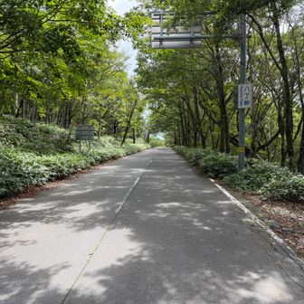 八丁峠
小沼駐車場まで舗装路を下ります