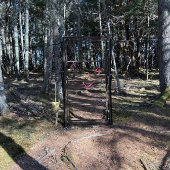 笑ってるように見えますね