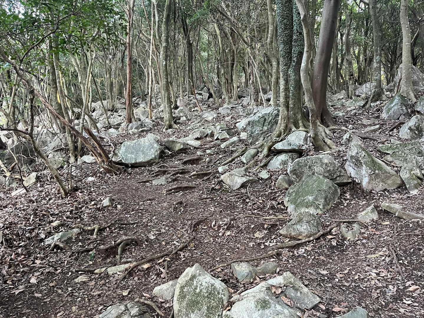 竜峰山 | 八代の3座を縦走、岩場あり天草まで見渡す周回コースの写真