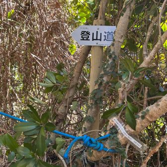 登山口の標識
少し打ち込んで補強した。