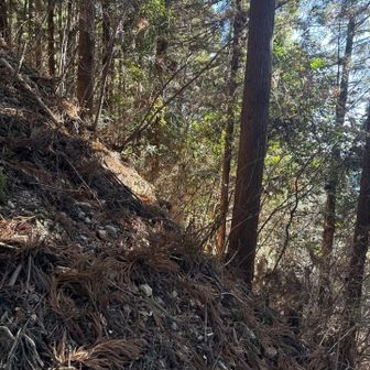 斜度これぐらい。エグい