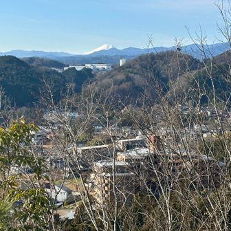 天覧山山頂から見望む富士山