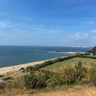 いったん海が一望できる高台に出ます
