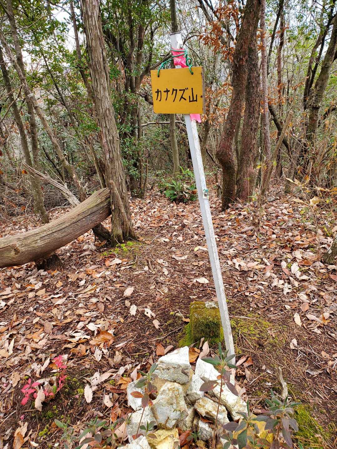 早くも山頂GET😅✌️