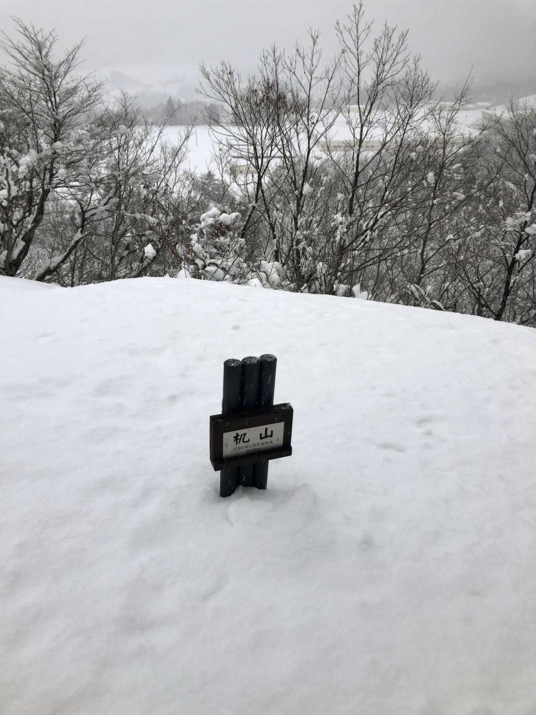 机山の山頂に出た